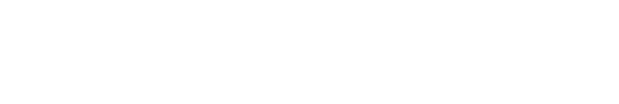 Unitree Vallee